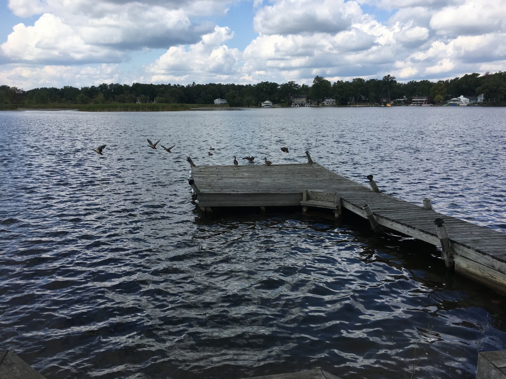 Homes for sale on Wolverine Lake, Wolverine Lake Village Mi