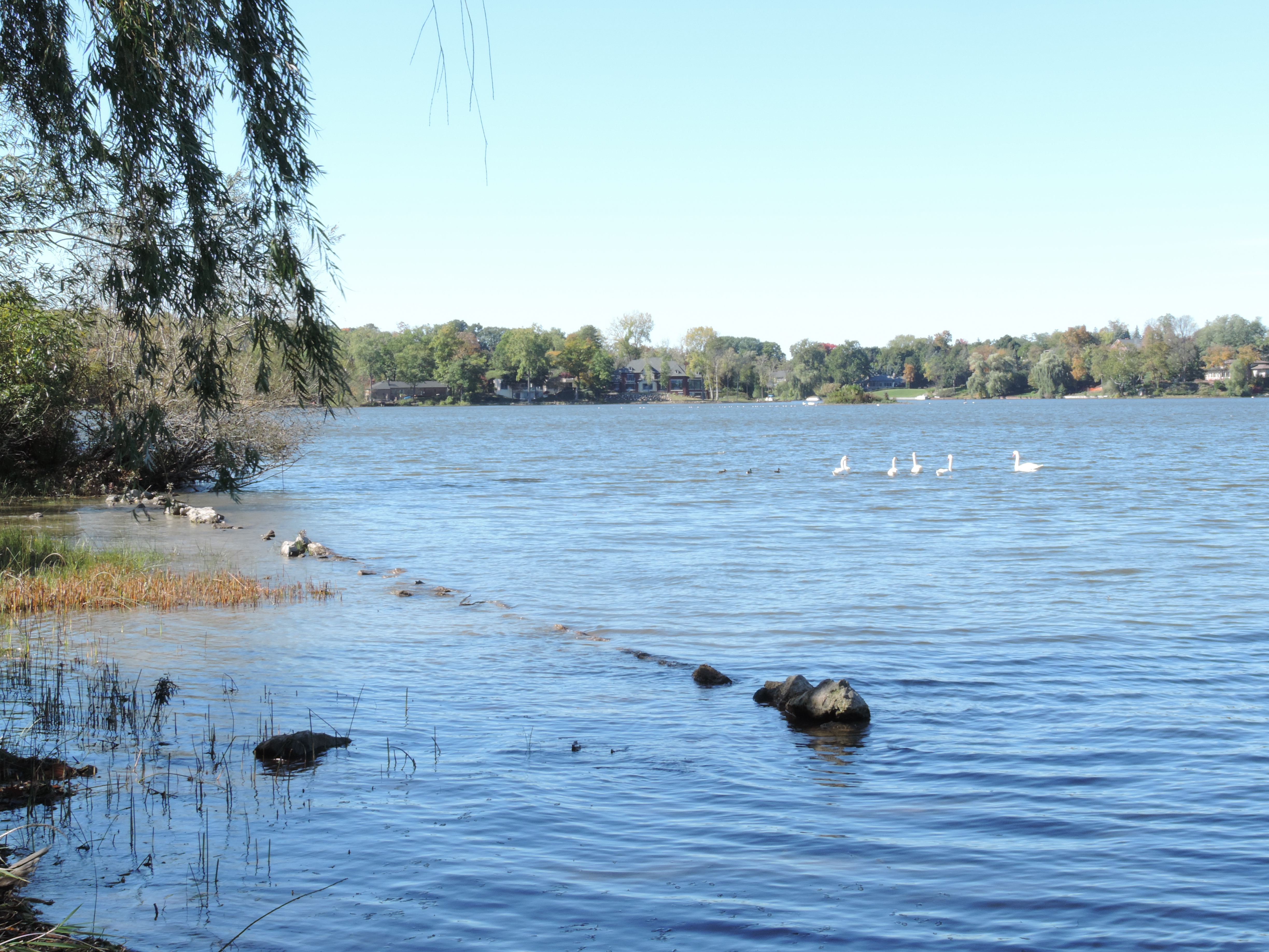 Island Lake in Oakland County Michigan