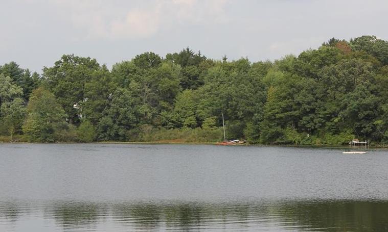 Harvey Lake homes Highland Michigan