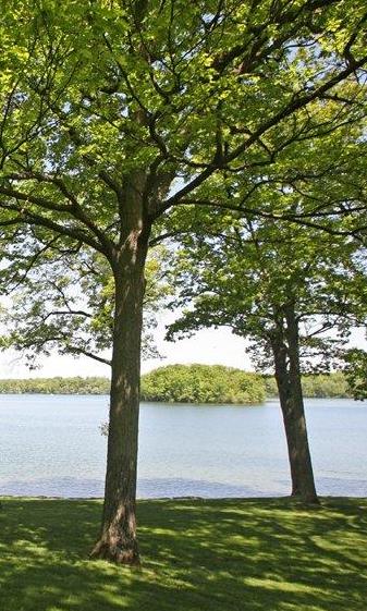 Lake Angelus homes in Oakland County MI