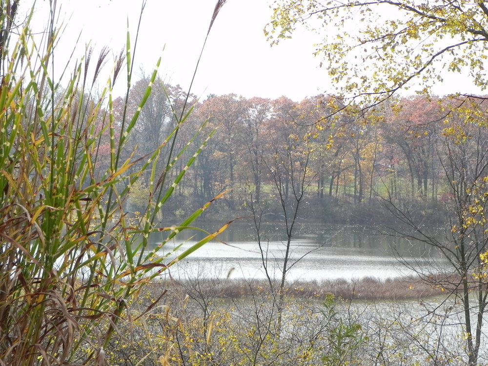 Whalen Lake near Brighton MI