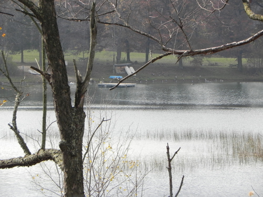 Whalen Lake Livingston County MI