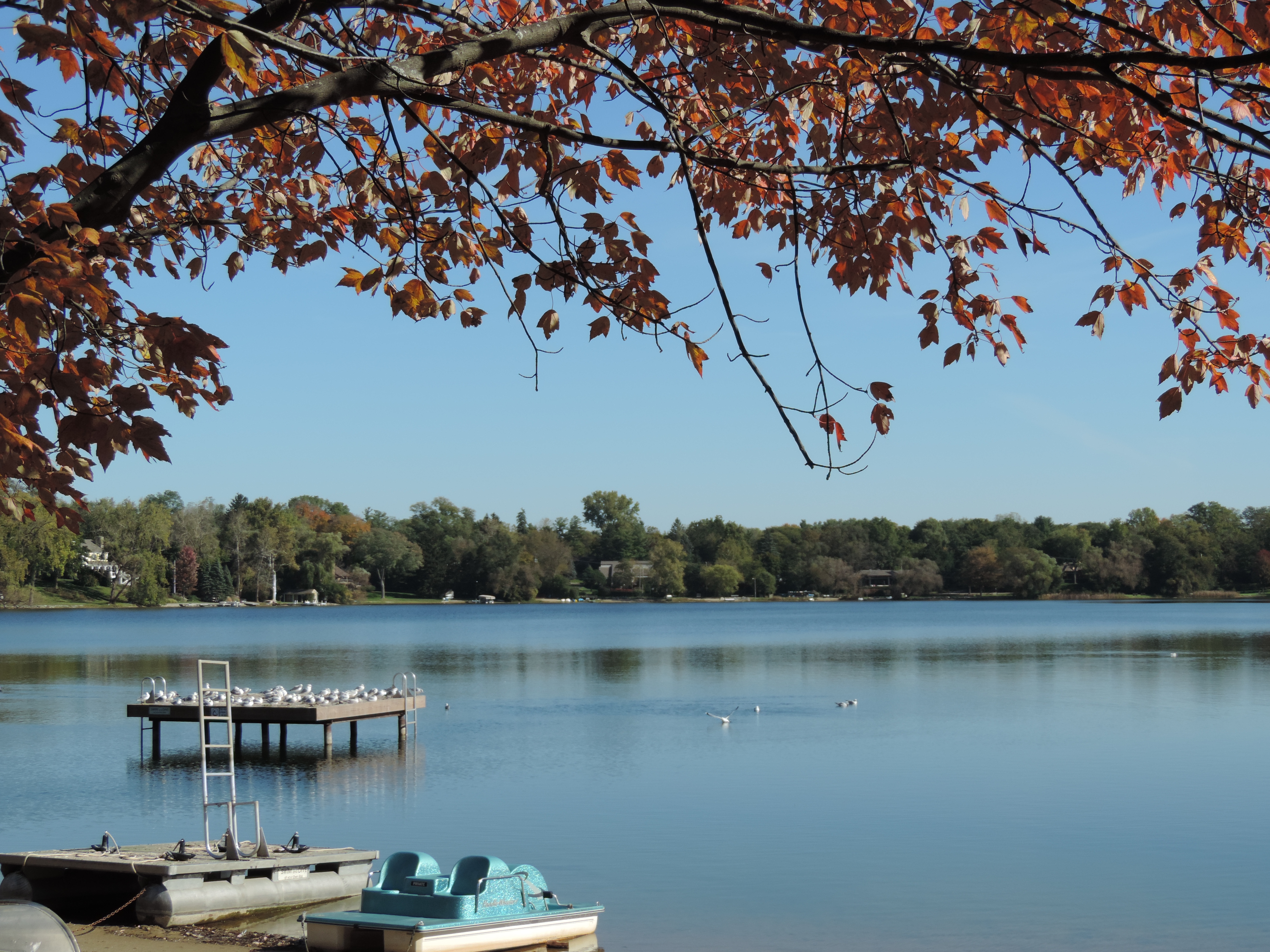 Homes on Wing Lake Bloomfield Township MI
