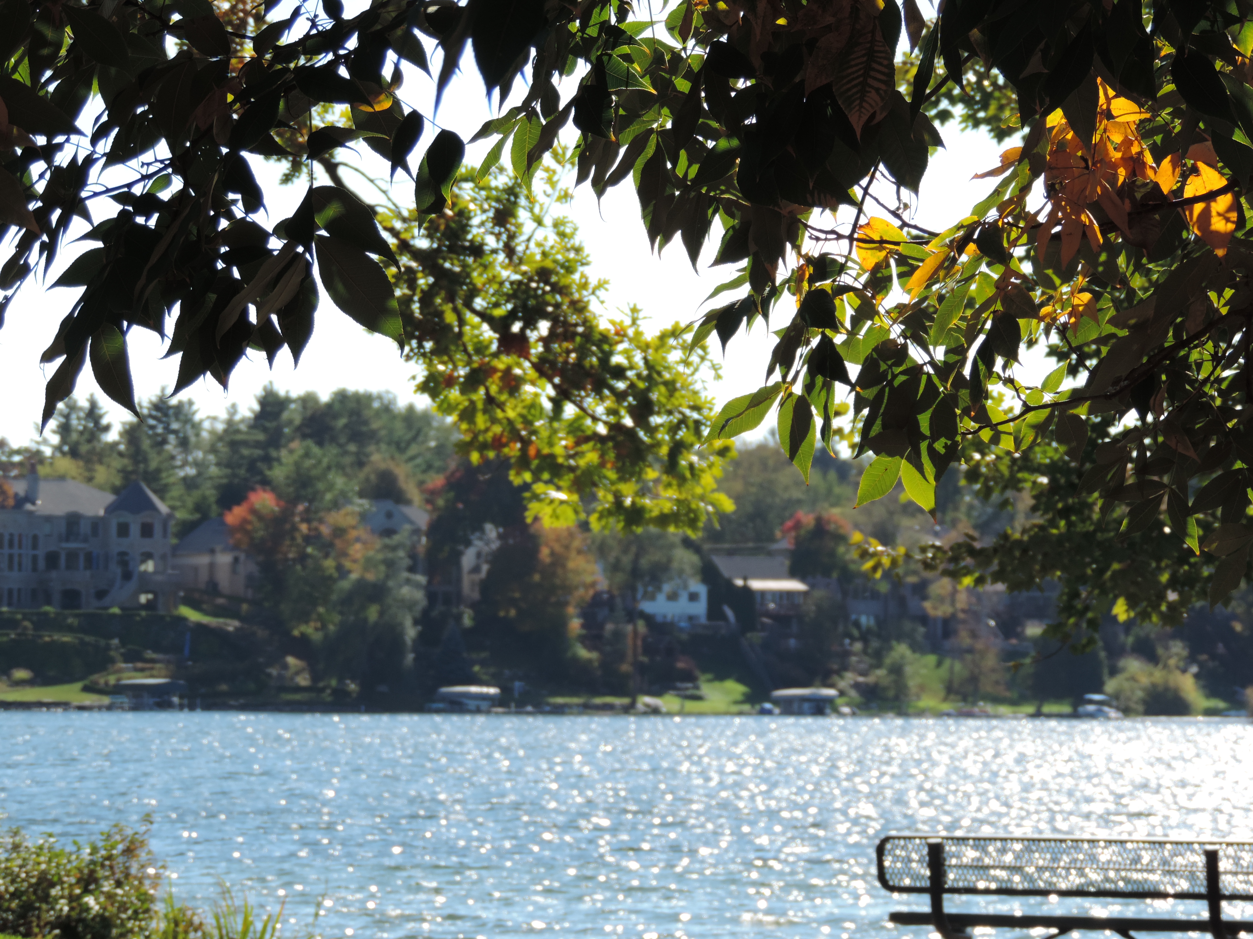 Relax on Upper Straits Lake in Oakland County MI