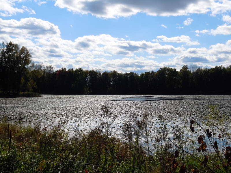 Ackerman Lake Livingston County MI
