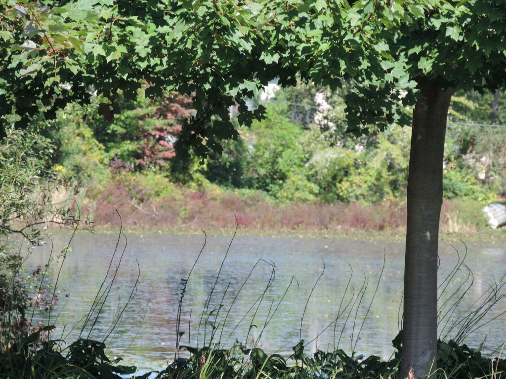 Lakefront homes for sale on Stison Lake in White Lake Township 