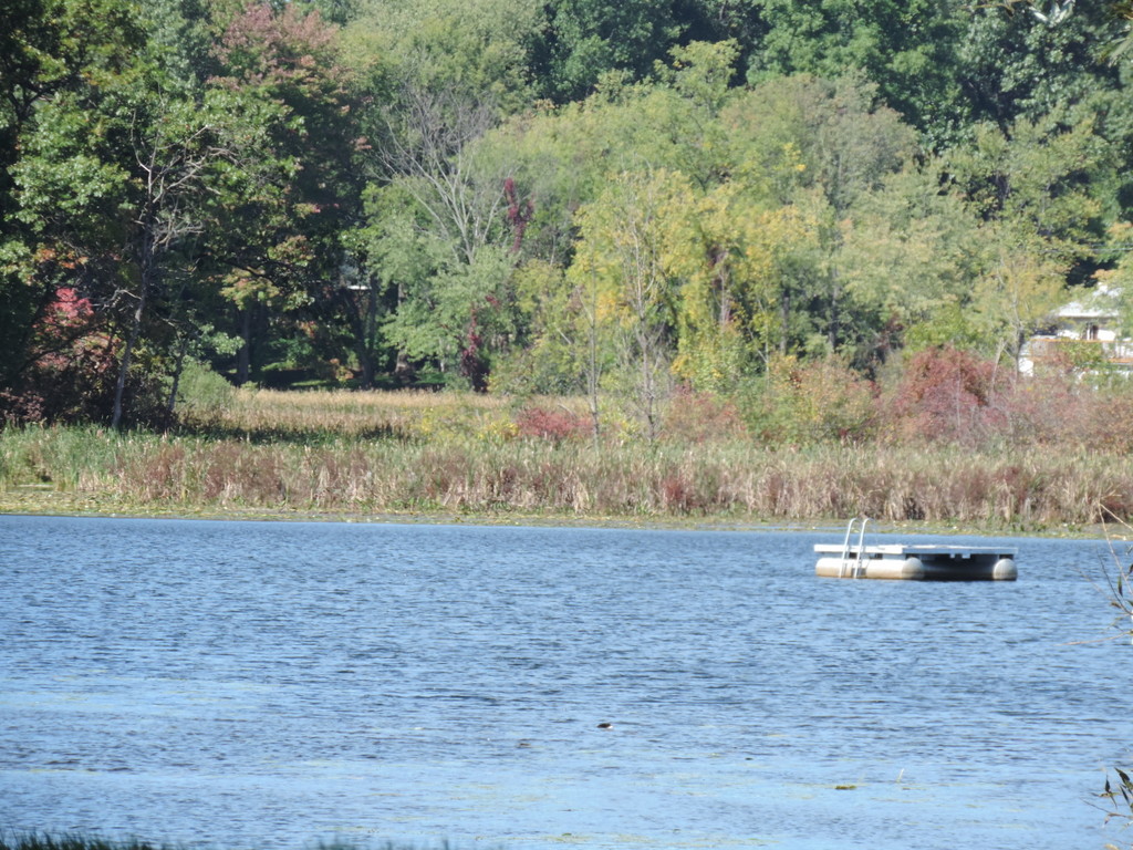Stison Lake in Oakland County MI