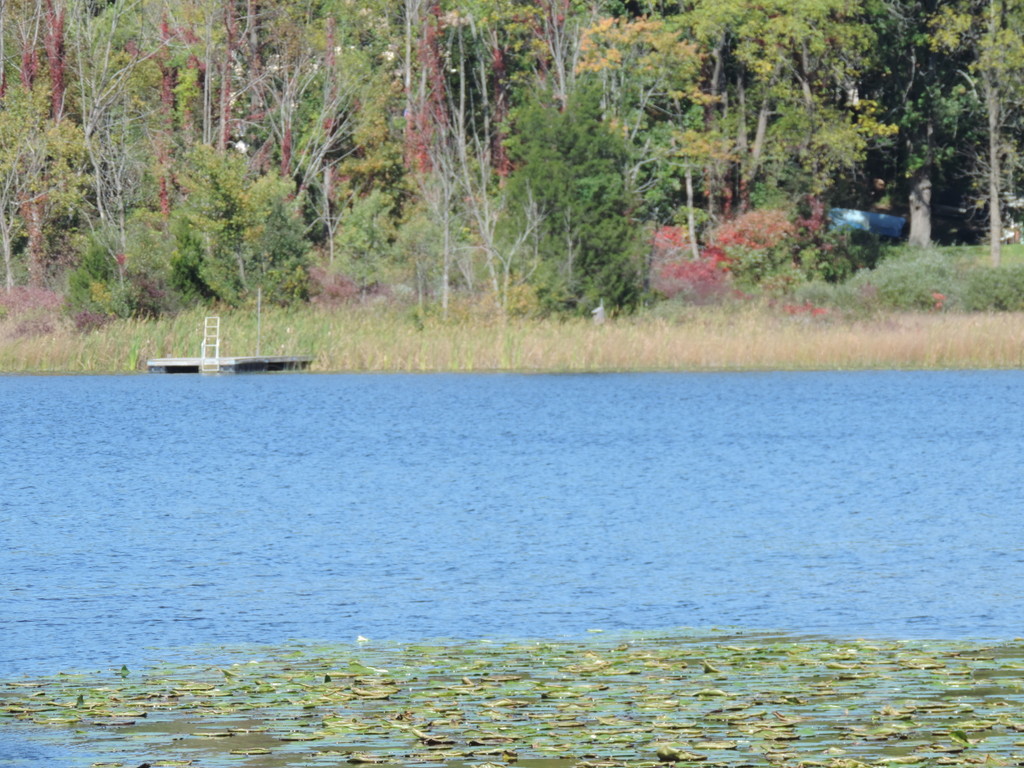 Mead Lake White Lake MI