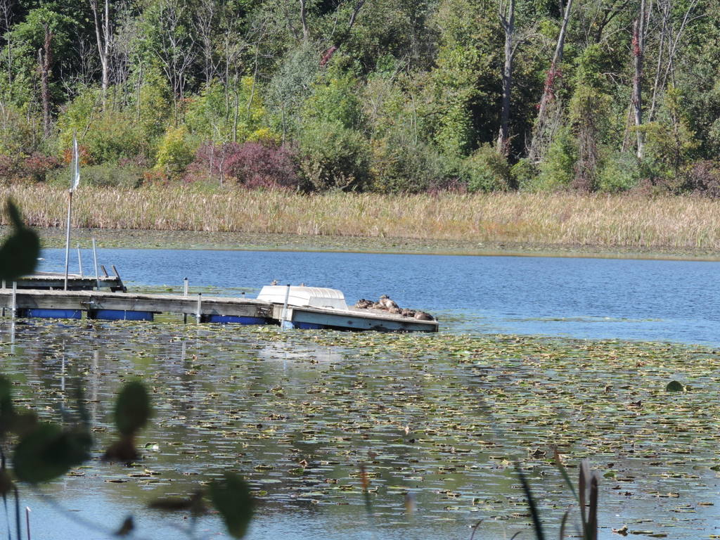 Mead Lake in Oakland County Michigan
