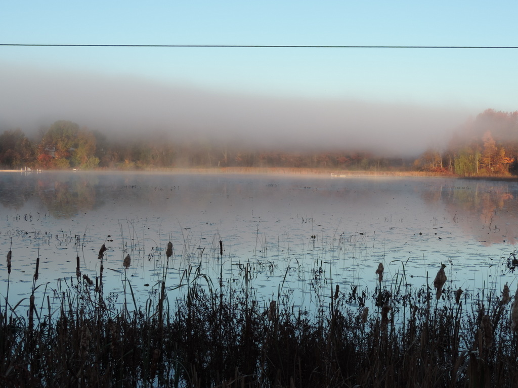 Stison Lake White Lake MI