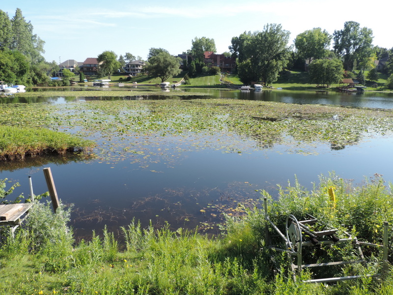 Oxbow Lake  White Lake back bay area