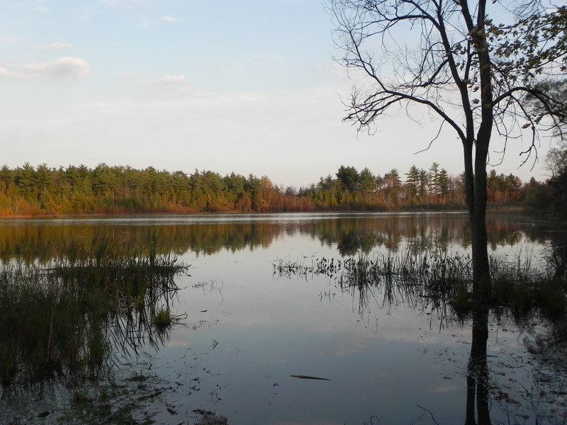 Bridge Lake properties Clarkston MI