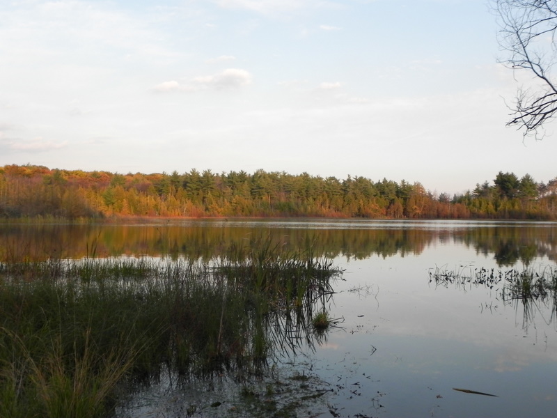 Bridge Lake homes Clarkston MI 