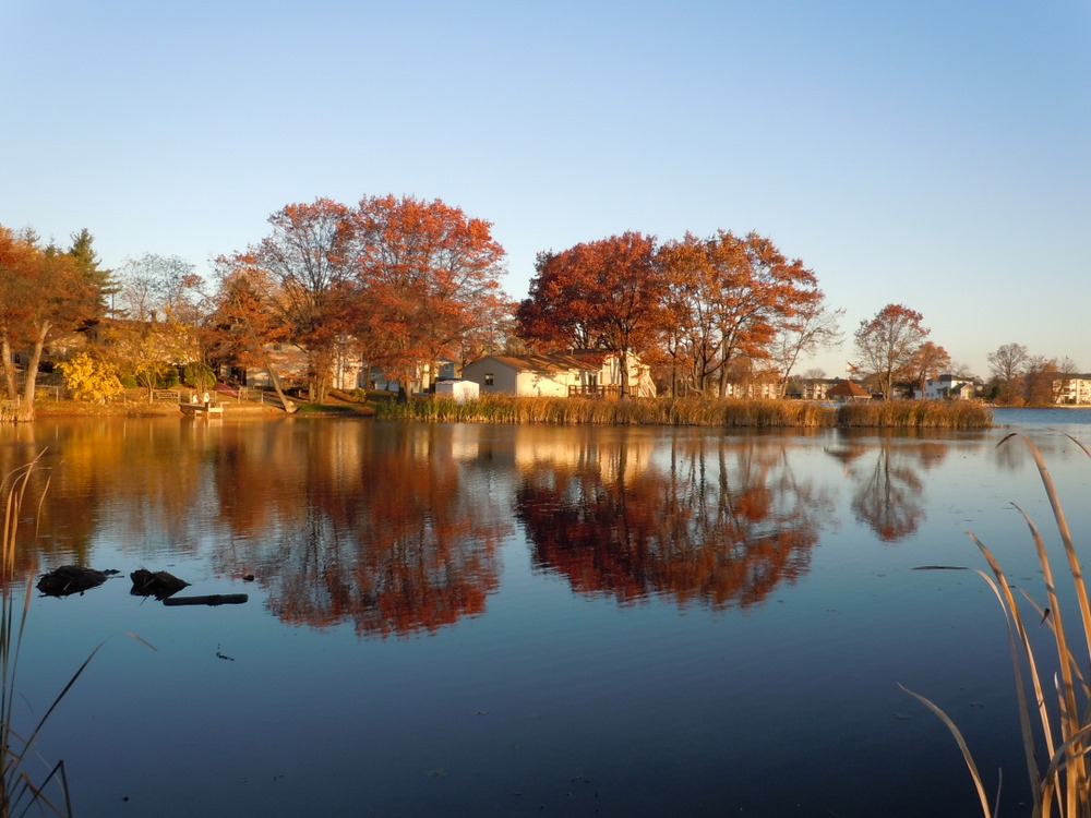 Waterfront homes on Buckhorn Lake in Orion MI