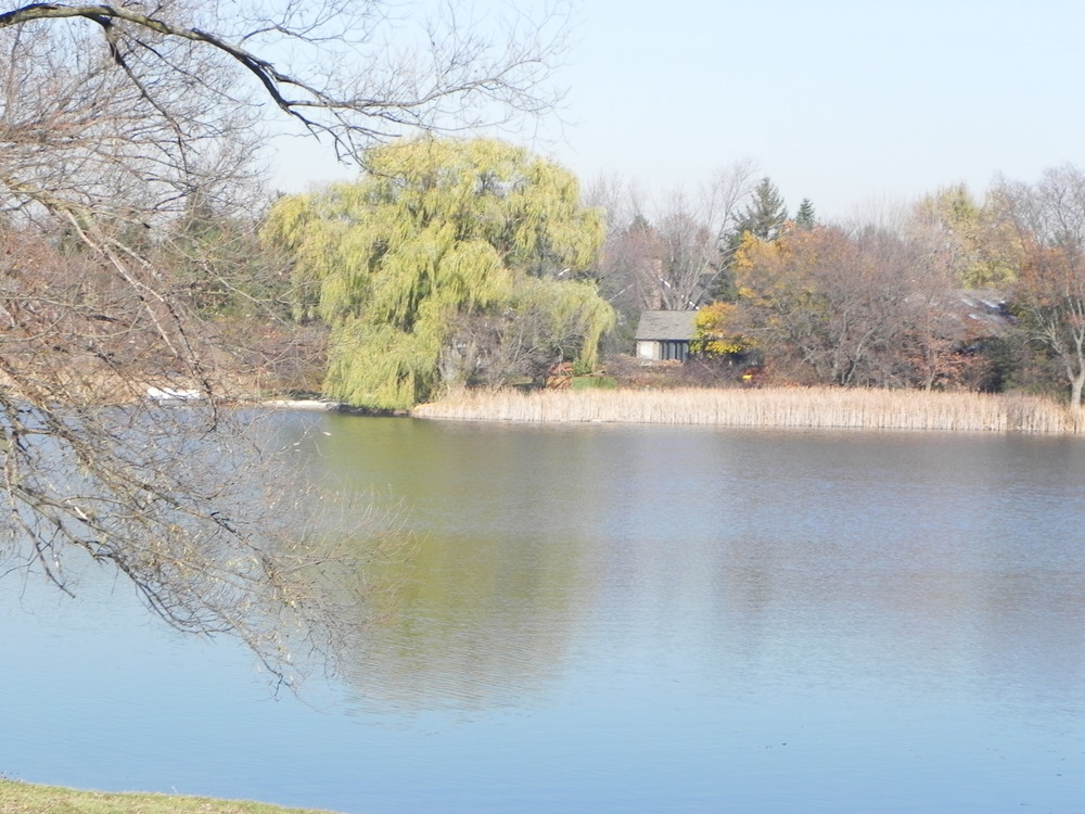 Waterfront homes Gilbert Lake Oakland County