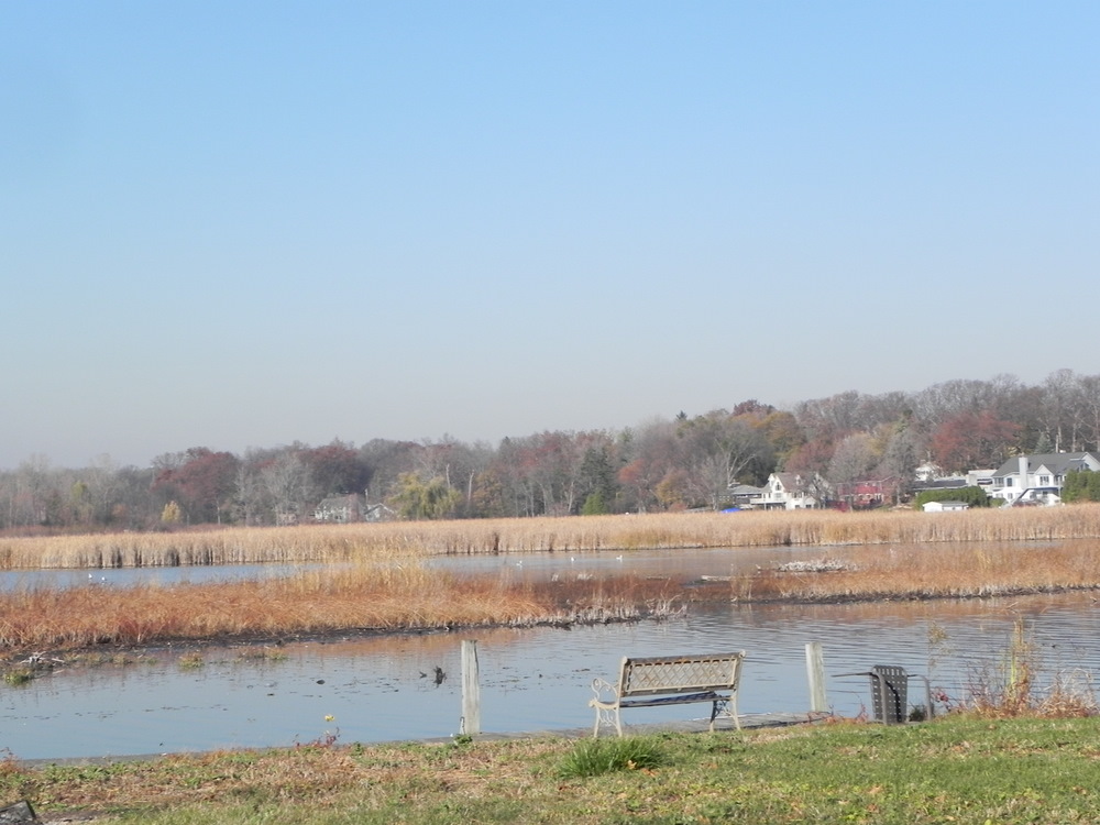 Otter Lake homes Waterford MI