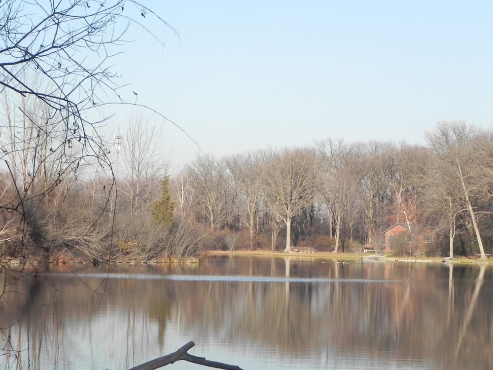 Homes on Fiddle Lake in Waterford Michigan