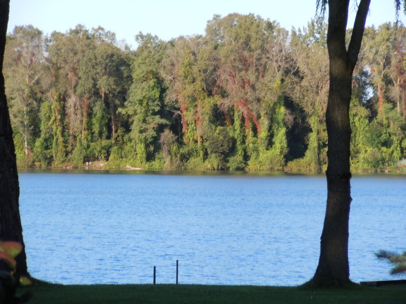 Sugden Lake homes White Lake MI