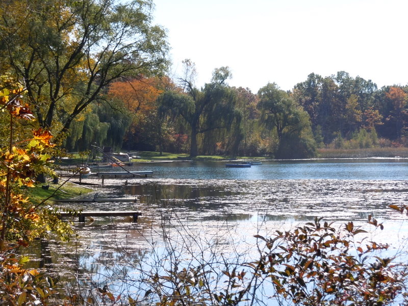 Dunleavy Lake in Oakland County Michigan