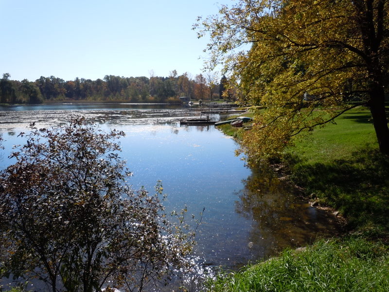 Waterfront homes for sale on Dunleavy Lake MI