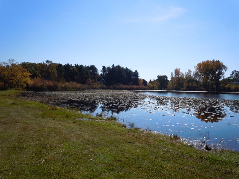 Lakefront homes for sale on Huff Lake in Highland MI
