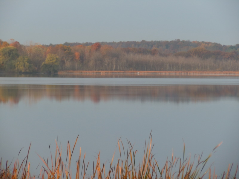 Judah Lake in Oakland County MI