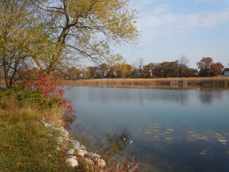 Homes on Heather Lake in Orion MI