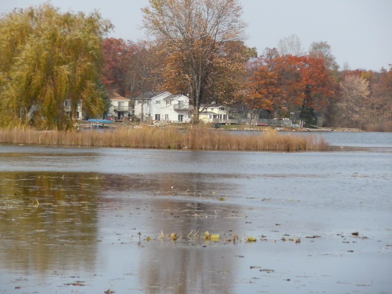 Homes on Grass Lake in White Lake MI