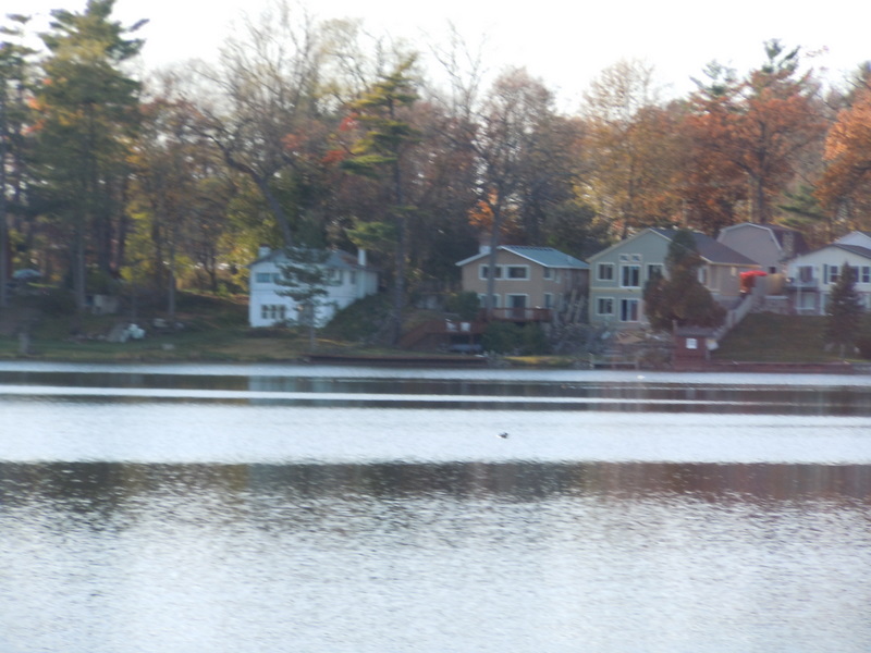 Tommy's Lake in Orion