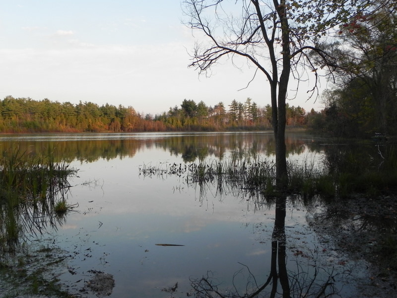 Bridge Lake in Oakland County MI