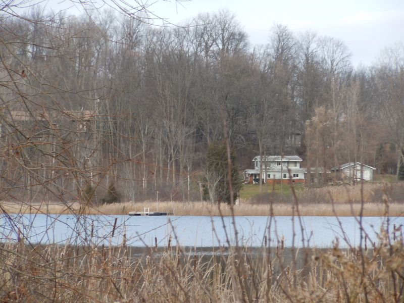 Homes on Mead Lake in White Lake MI