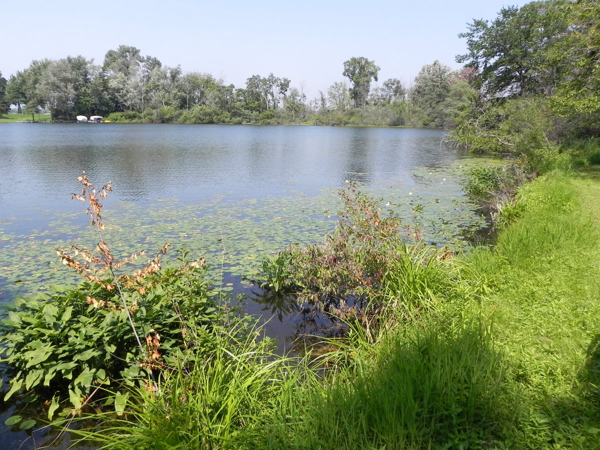 Dow Lake homes Orchard Lake Michigan