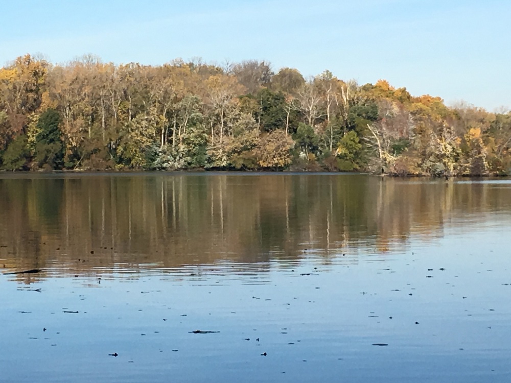 Ford Lake Homes Ypsilanti MI