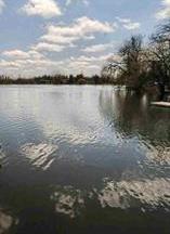 Dollar Lake Fenton MI