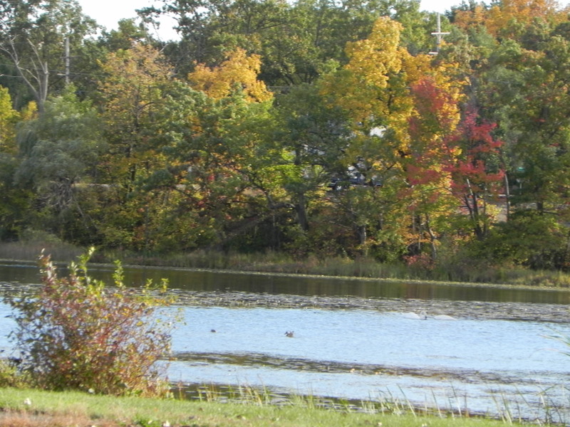 Lester Lake Clarkston MI