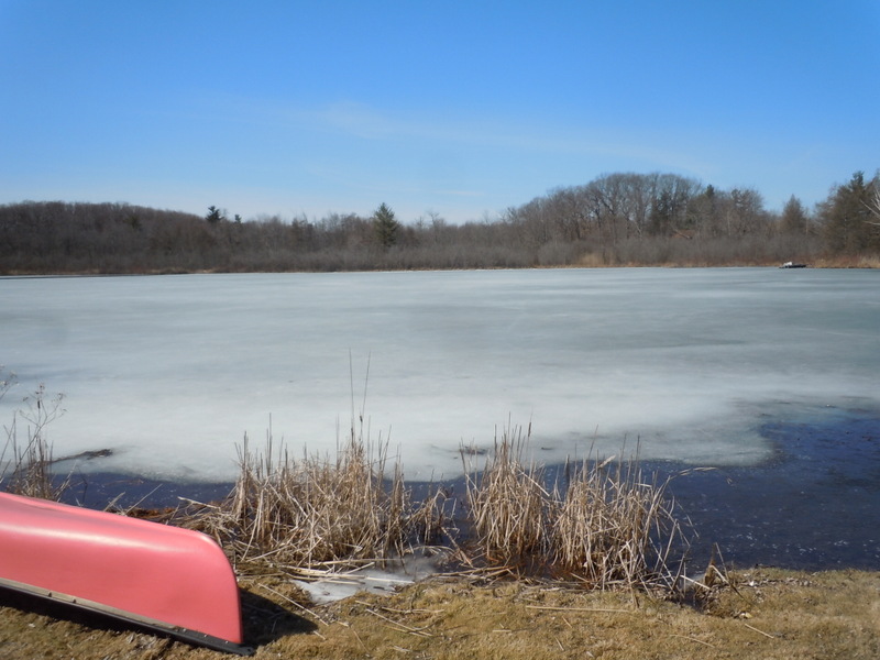 Tamarack Lake Marion Twp MI