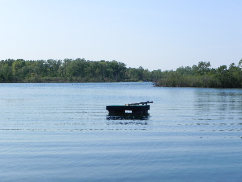 Upper Pettibone Lake homes for sale Highland MI