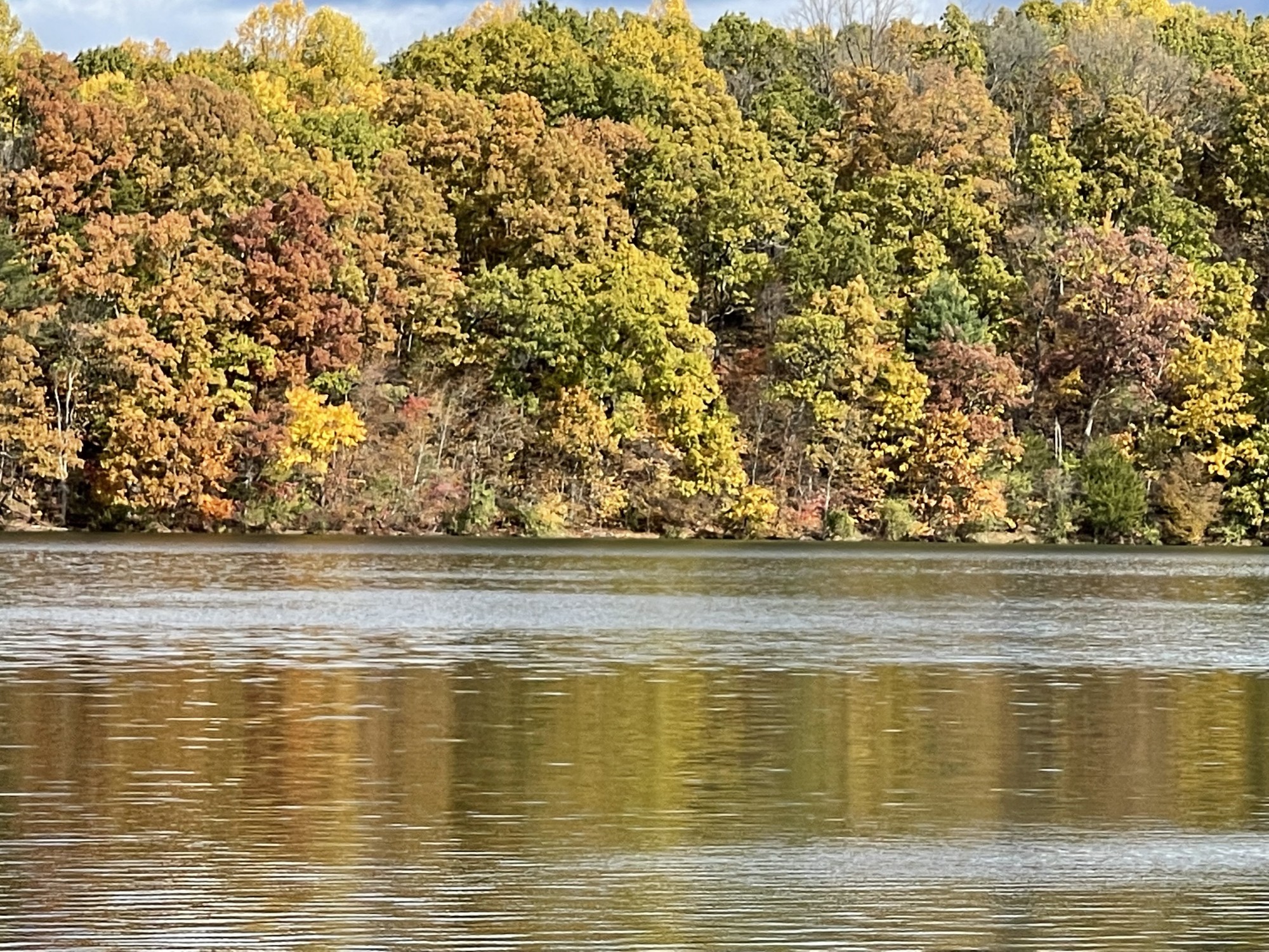 Blind Lake homes Washtenaw County MI