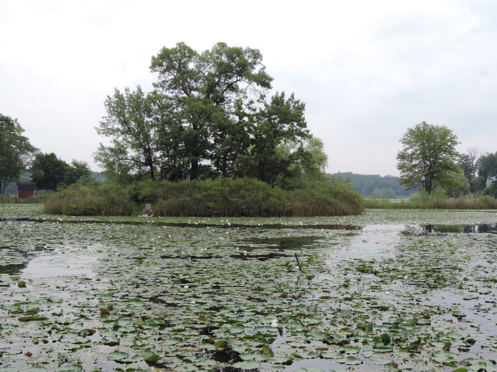 Grass Lake White Lake Twp