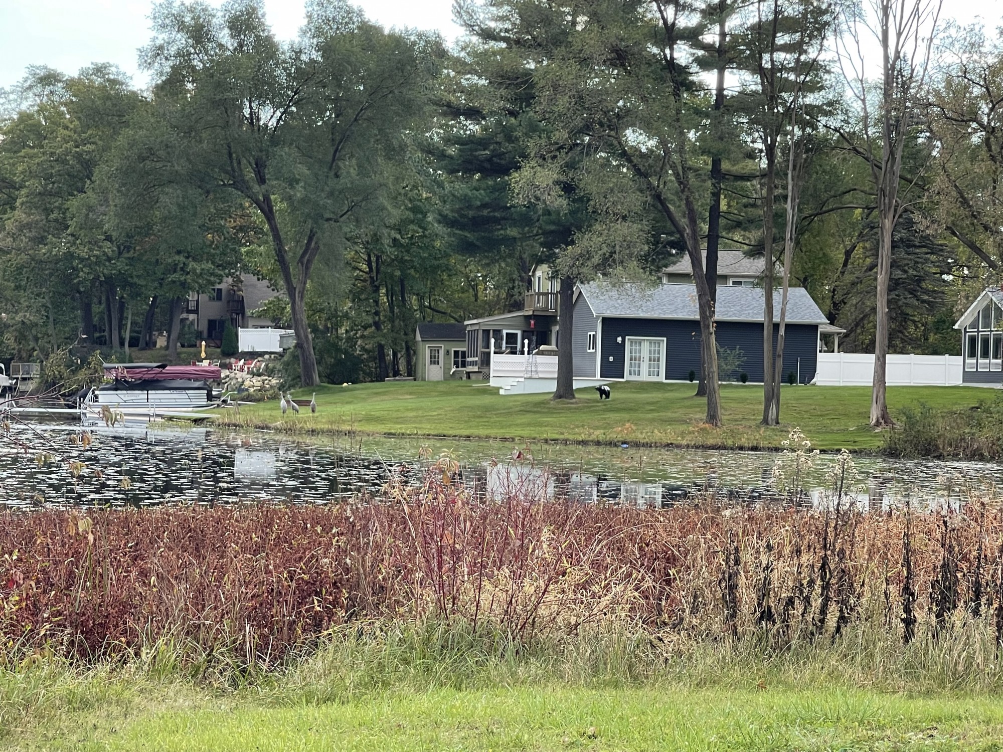 Lake homes for sale Lake Louise Ortonville MI