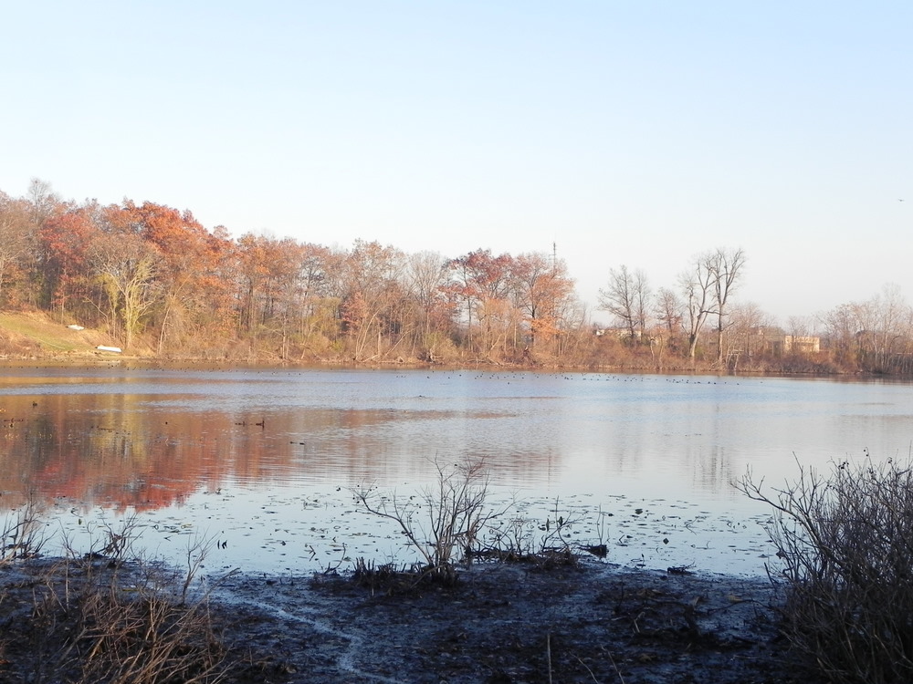 Clam Lake Oakland County