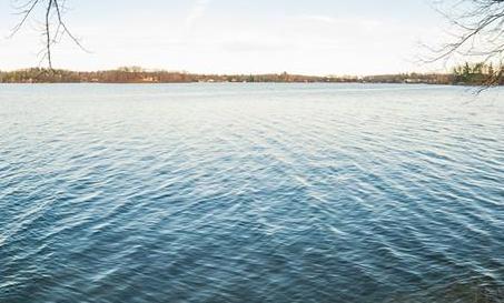 Lakefront homes for sale on Lakeville Lake in Leonard MI