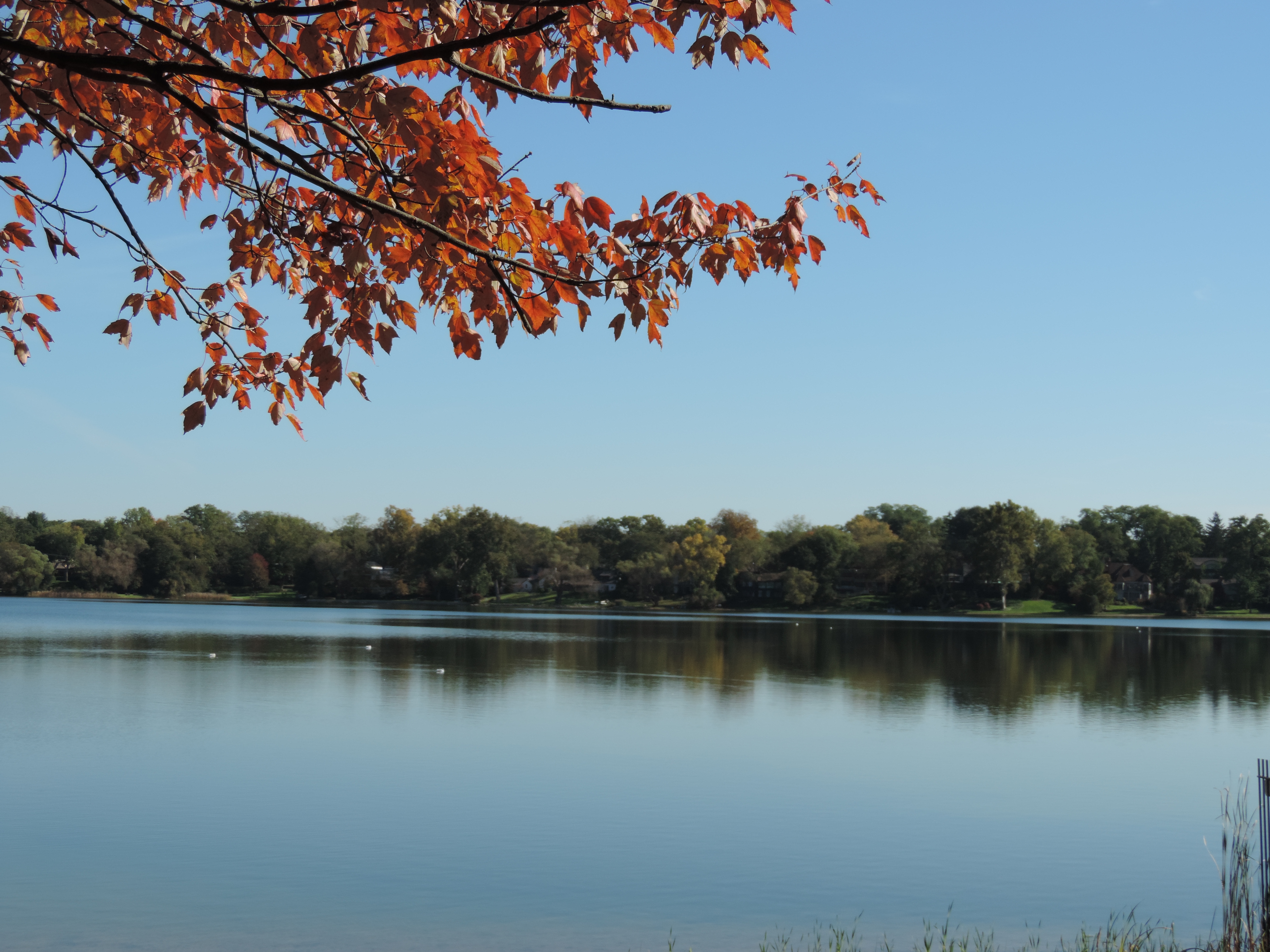 Lake properties on Wing Lake Bloomfield Twp Mi
