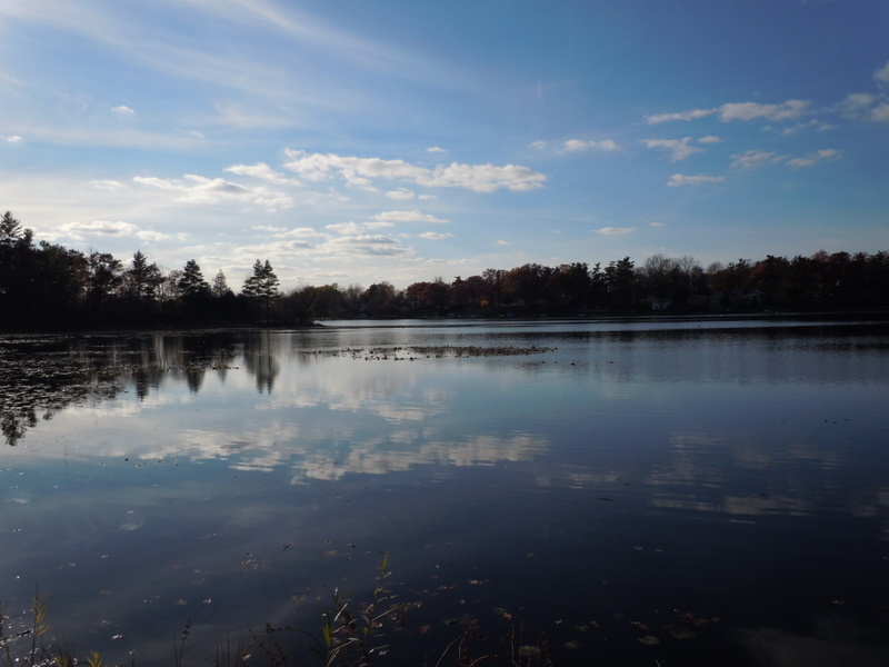 Tommys Lake Orion Michigan